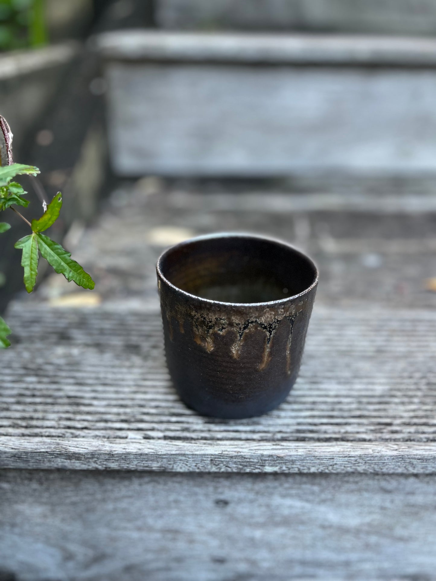 Salt fired tumblers - pair