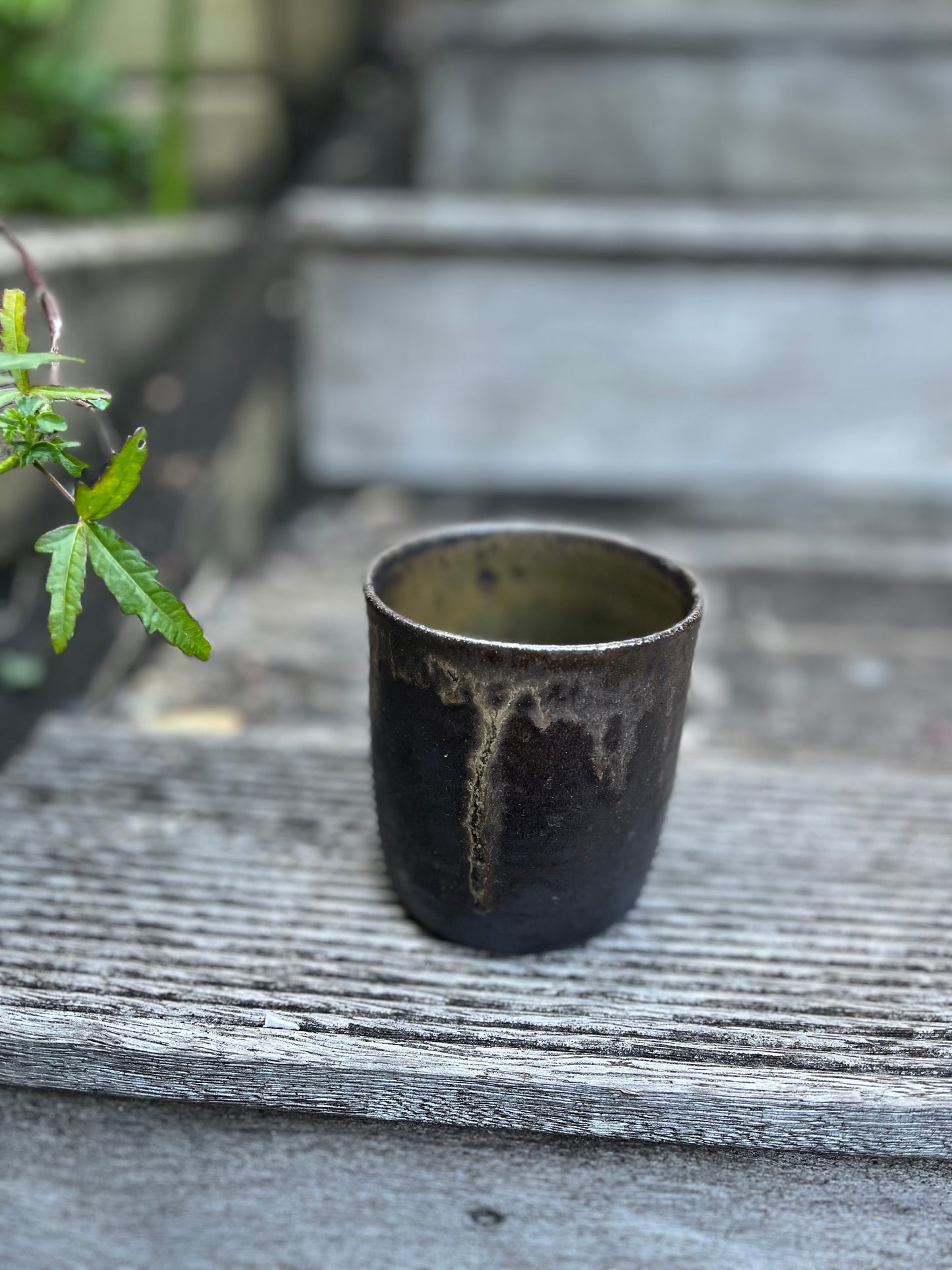 Salt fired tumblers - pair