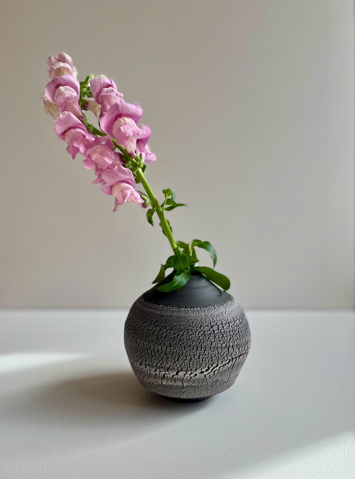 Contrast crackle vase